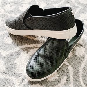 Steve Madden Everest Shoes